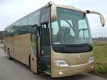 Golden Dragon Grand Cruiser